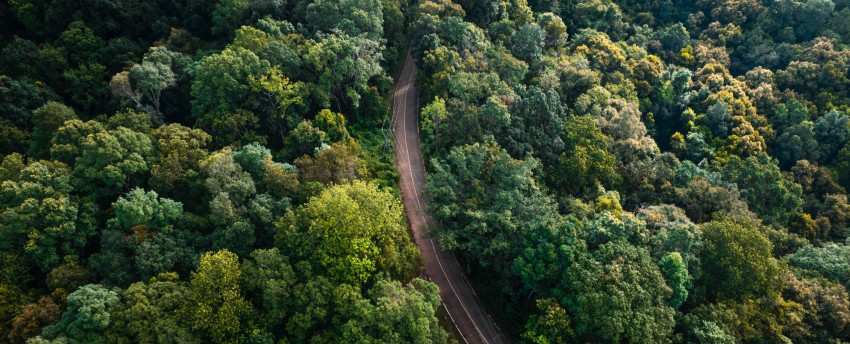 Kiknek jelent valójában könnyítést az év végi EUDR-szabályváltozás?